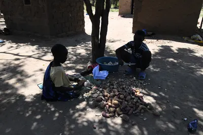 DSC_2768 (Large).JPG